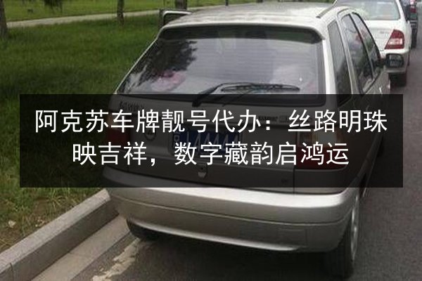 阿克苏车牌靓号代办：丝路明珠映吉祥，数字藏韵启鸿运 第2张