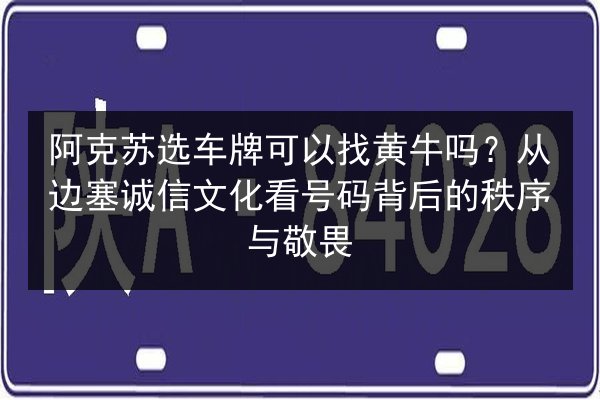阿克苏选车牌可以找黄牛吗?从边塞诚信文化看号码背后的秩序与敬畏 第2张 阿克苏选车牌可以找黄牛吗?从边塞诚信文化看号码背后的秩序与敬畏 第2张