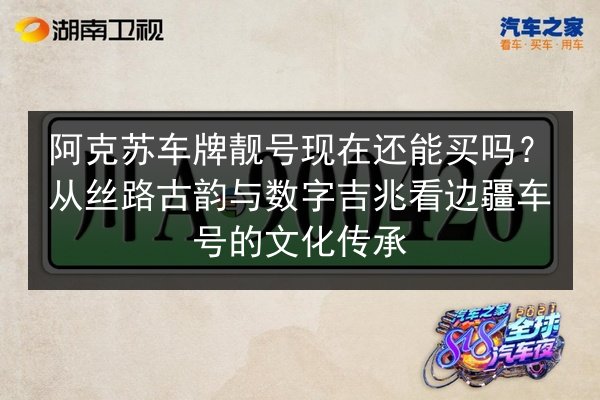 阿克苏车牌靓号现在还能买吗？从丝路古韵与数字吉兆看边疆车号的文化传承 第2张