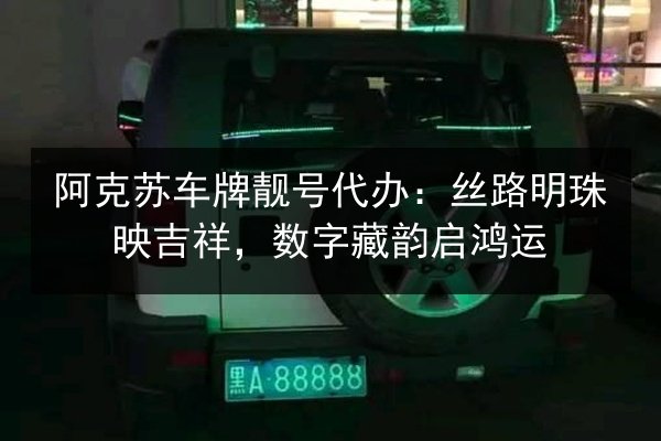 阿克苏车牌靓号代办：丝路明珠映吉祥，数字藏韵启鸿运 第3张