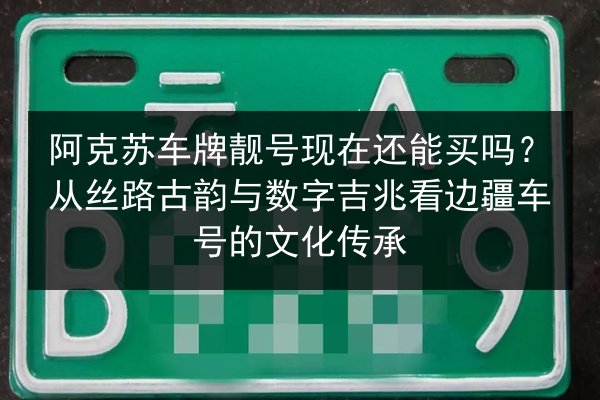 阿克苏车牌靓号现在还能买吗？从丝路古韵与数字吉兆看边疆车号的文化传承 第3张