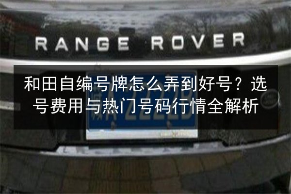 和田自编号牌怎么弄到好号？选号费用与热门号码行情全解析 第3张