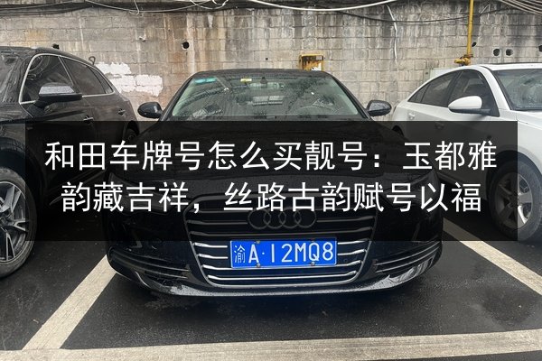 和田车牌号怎么买靓号：玉都雅韵藏吉祥，丝路古韵赋号以福