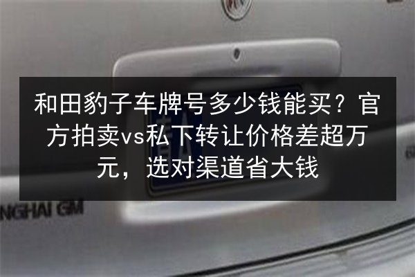和田豹子车牌号多少钱能买?官方拍卖vs私下转让价格差超万元,选对渠道省大钱 第2张 和田豹子车牌号多少钱能买?官方拍卖vs私下转让价格差超万元,选对渠道省大钱 第2张