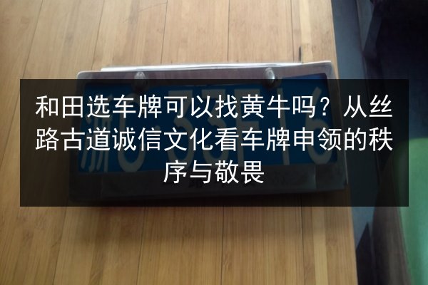 和田选车牌可以找黄牛吗？从丝路古道诚信文化看车牌申领的秩序与敬畏 第3张