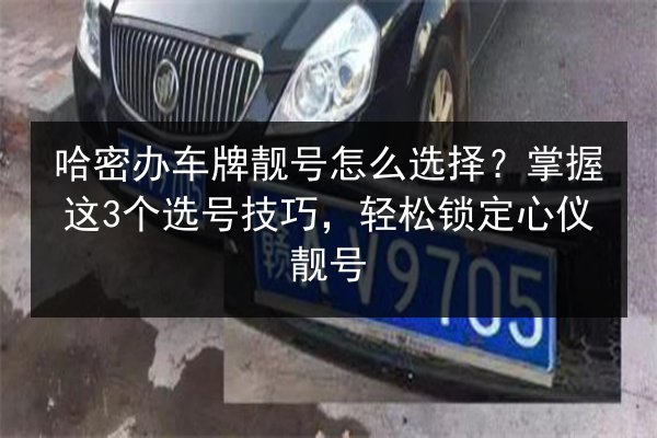 哈密办车牌靓号怎么选择？掌握这3个选号技巧，轻松锁定心仪靓号 第2张