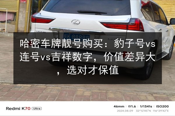 哈密车牌靓号购买:豹子号vs连号vs吉祥数字,价值差异大,选对才保值 第3张 哈密车牌靓号购买:豹子号vs连号vs吉祥数字,价值差异大,选对才保值 第3张