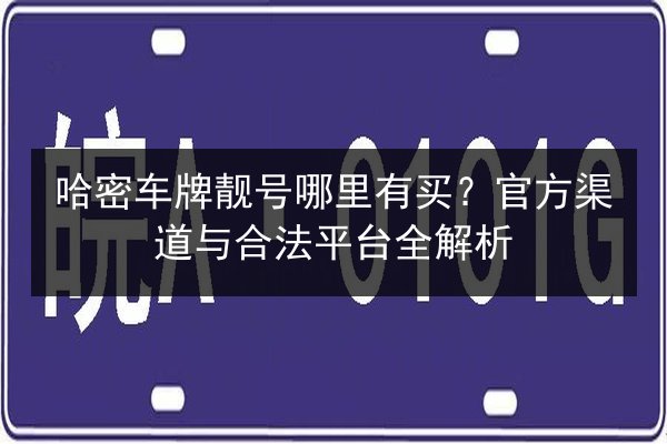 哈密车牌靓号哪里有买？官方渠道与合法平台全解析 第2张