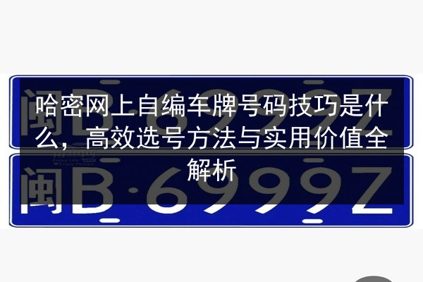 哈密网上自编车牌号码技巧是什么,高效选号方法与实用价值全解析 第3张 哈密网上自编车牌号码技巧是什么,高效选号方法与实用价值全解析 第3张