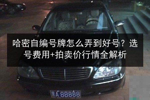 哈密自编号牌怎么弄到好号?选号费用+拍卖价行情全解析 第2张 哈密自编号牌怎么弄到好号?选号费用+拍卖价行情全解析 第2张