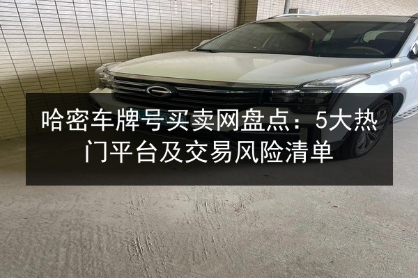 哈密车牌号买卖网盘点:5大热门平台及交易风险清单 第2张 哈密车牌号买卖网盘点:5大热门平台及交易风险清单 第2张