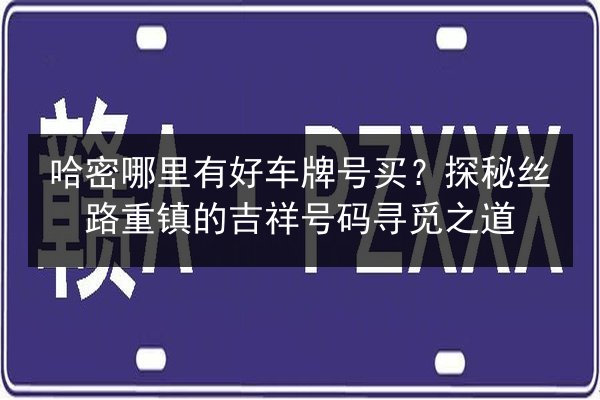 哈密哪里有好车牌号买?探秘丝路重镇的吉祥号码寻觅之道 第2张 哈密哪里有好车牌号买?探秘丝路重镇的吉祥号码寻觅之道 第2张