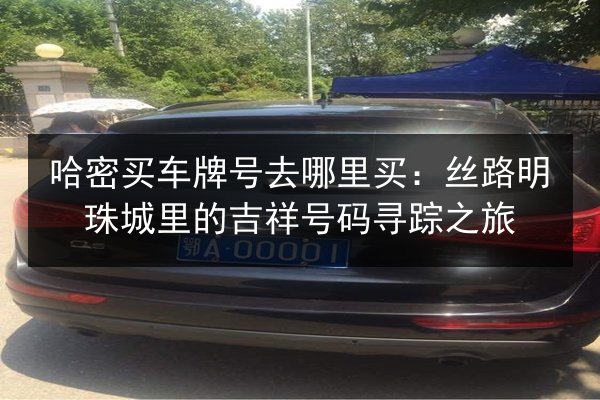 哈密买车牌号去哪里买：丝路明珠城里的吉祥号码寻踪之旅 第2张
