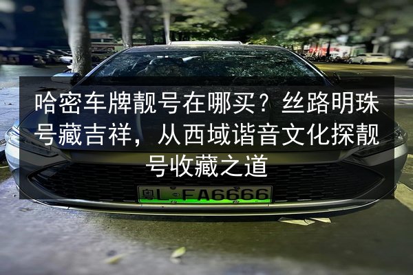 哈密车牌靓号在哪买?丝路明珠号藏吉祥,从西域谐音文化探靓号收藏之道 第2张 哈密车牌靓号在哪买?丝路明珠号藏吉祥,从西域谐音文化探靓号收藏之道 第2张