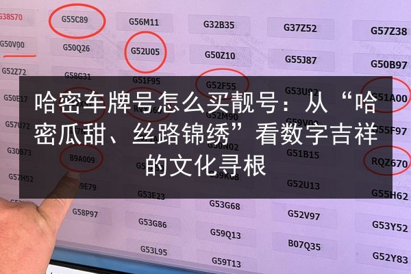哈密车牌号怎么买靓号:从“哈密瓜甜、丝路锦绣”看数字吉祥的文化寻根 第2张 哈密车牌号怎么买靓号:从“哈密瓜甜、丝路锦绣”看数字吉祥的文化寻根 第2张