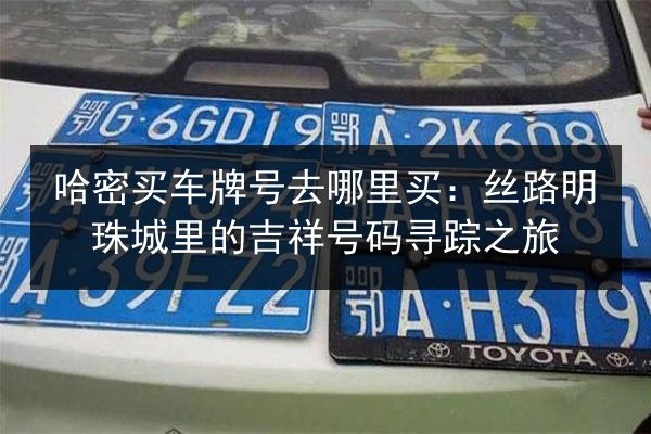哈密买车牌号去哪里买：丝路明珠城里的吉祥号码寻踪之旅 第3张