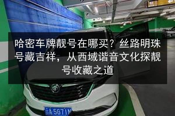哈密车牌靓号在哪买?丝路明珠号藏吉祥,从西域谐音文化探靓号收藏之道 第3张 哈密车牌靓号在哪买?丝路明珠号藏吉祥,从西域谐音文化探靓号收藏之道 第3张