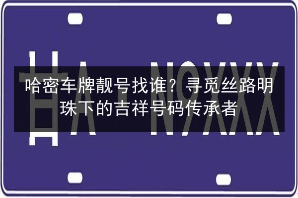哈密车牌靓号找谁？寻觅丝路明珠下的吉祥号码传承者 第2张