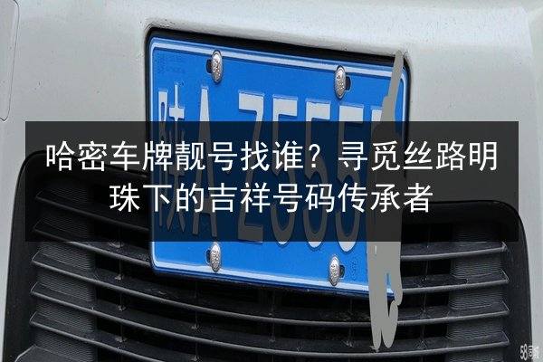 哈密车牌靓号找谁？寻觅丝路明珠下的吉祥号码传承者 第3张