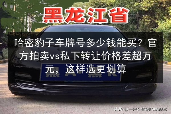 哈密豹子车牌号多少钱能买?官方拍卖vs私下转让价格差超万元,这样选更划算 第1张 哈密豹子车牌号多少钱能买?官方拍卖vs私下转让价格差超万元,这样选更划算 第1张