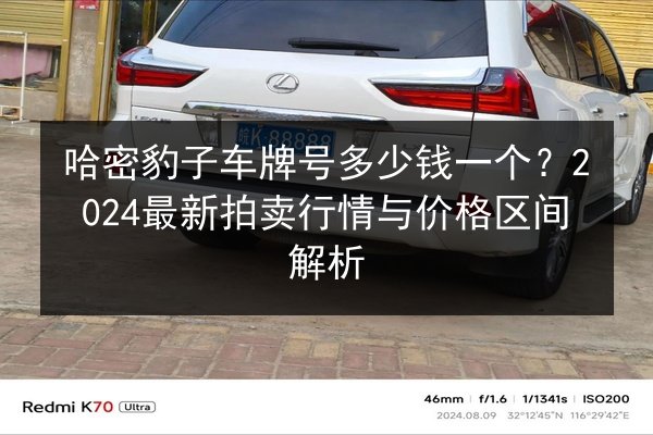 哈密豹子车牌号多少钱一个？2024最新拍卖行情与价格区间解析 第2张