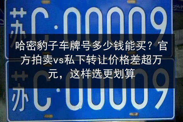 哈密豹子车牌号多少钱能买?官方拍卖vs私下转让价格差超万元,这样选更划算 第2张 哈密豹子车牌号多少钱能买?官方拍卖vs私下转让价格差超万元,这样选更划算 第2张