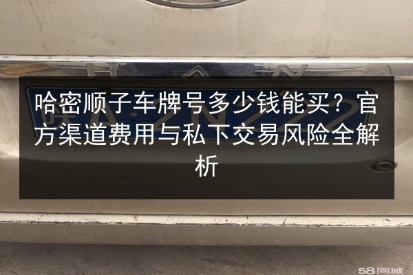 哈密顺子车牌号多少钱能买？官方渠道费用与私下交易风险全解析 第2张