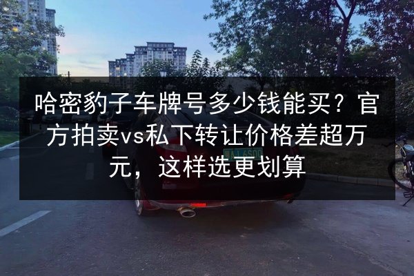 哈密豹子车牌号多少钱能买?官方拍卖vs私下转让价格差超万元,这样选更划算 第3张 哈密豹子车牌号多少钱能买?官方拍卖vs私下转让价格差超万元,这样选更划算 第3张