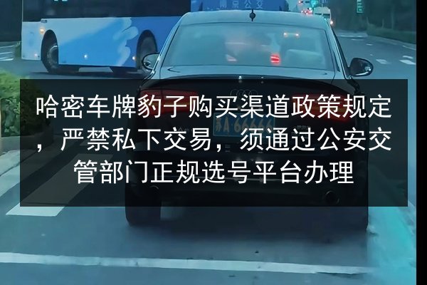 哈密车牌豹子购买渠道政策规定，严禁私下交易，须通过公安交管部门正规选号平台办理 第3张