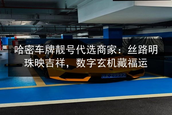 哈密车牌靓号代选商家：丝路明珠映吉祥，数字玄机藏福运