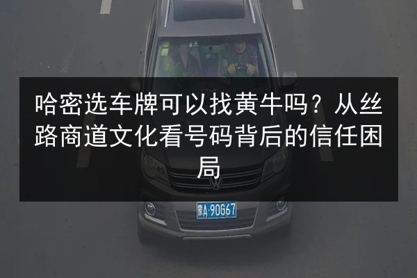 哈密选车牌可以找黄牛吗？从丝路商道文化看号码背后的信任困局 第1张
