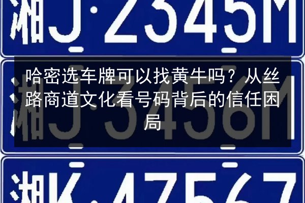 哈密选车牌可以找黄牛吗？从丝路商道文化看号码背后的信任困局 第2张