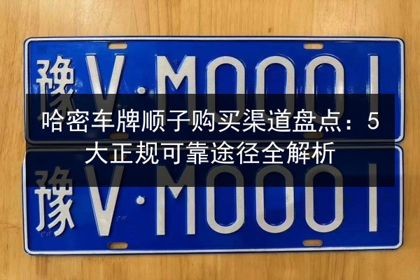 哈密车牌顺子购买渠道盘点:5大正规可靠途径全解析 第3张 哈密车牌顺子购买渠道盘点:5大正规可靠途径全解析 第3张