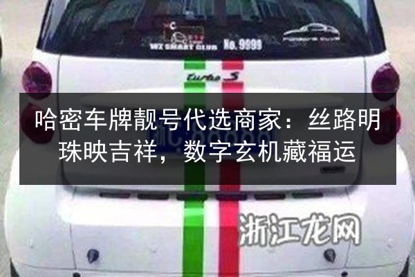 哈密车牌靓号代选商家：丝路明珠映吉祥，数字玄机藏福运 第3张