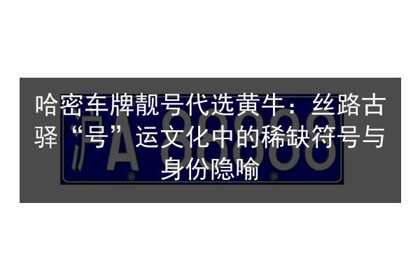 哈密车牌靓号代选黄牛：丝路古驿“号”运文化中的稀缺符号与身份隐喻 第2张