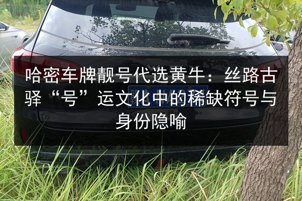 哈密车牌靓号代选黄牛：丝路古驿“号”运文化中的稀缺符号与身份隐喻 第3张