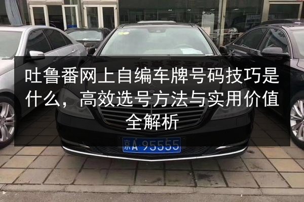 吐鲁番网上自编车牌号码技巧是什么,高效选号方法与实用价值全解析 第2张 吐鲁番网上自编车牌号码技巧是什么,高效选号方法与实用价值全解析 第2张