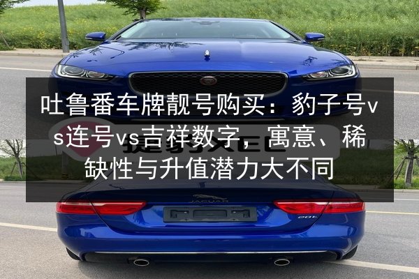 吐鲁番车牌靓号购买：豹子号vs连号vs吉祥数字，寓意、稀缺性与升值潜力大不同
