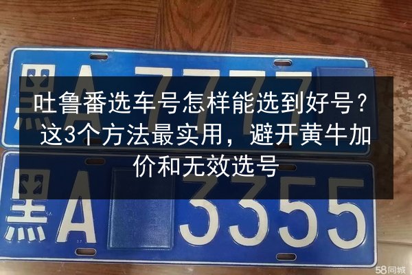 吐鲁番选车号怎样能选到好号？这3个方法最实用，避开黄牛加价和无效选号 第2张