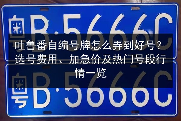 吐鲁番自编号牌怎么弄到好号?选号费用、加急价及热门号段行情一览 第3张 吐鲁番自编号牌怎么弄到好号?选号费用、加急价及热门号段行情一览 第3张