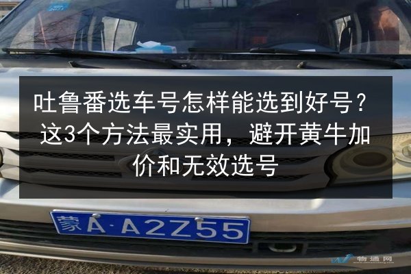 吐鲁番选车号怎样能选到好号？这3个方法最实用，避开黄牛加价和无效选号 第3张