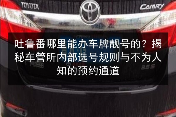 吐鲁番哪里能办车牌靓号的?揭秘车管所内部选号规则与不为人知的预约通道 第2张 吐鲁番哪里能办车牌靓号的?揭秘车管所内部选号规则与不为人知的预约通道 第2张
