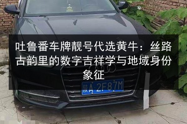 吐鲁番车牌靓号代选黄牛:丝路古韵里的数字吉祥学与地域身份象征 第2张 吐鲁番车牌靓号代选黄牛:丝路古韵里的数字吉祥学与地域身份象征 第2张