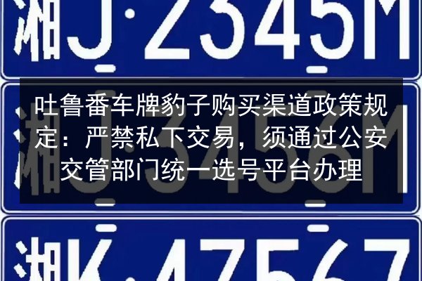 吐鲁番车牌豹子购买渠道政策规定：严禁私下交易，须通过公安交管部门统一选号平台办理 第2张