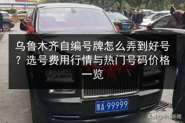乌鲁木齐自编号牌怎么弄到好号？选号费用行情与热门号码价格一览 第2张