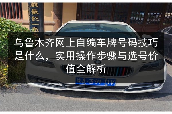乌鲁木齐网上自编车牌号码技巧是什么,实用操作步骤与选号价值全解析 第1张 乌鲁木齐网上自编车牌号码技巧是什么,实用操作步骤与选号价值全解析 第1张