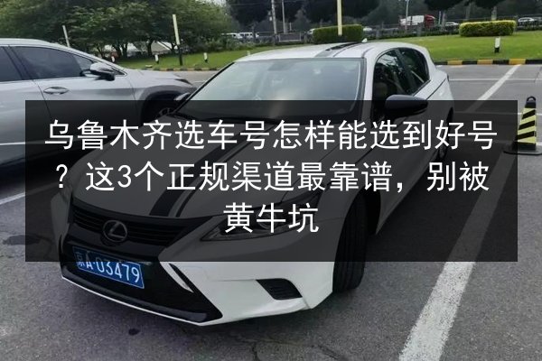 乌鲁木齐选车号怎样能选到好号？这3个正规渠道最靠谱，别被黄牛坑 第2张