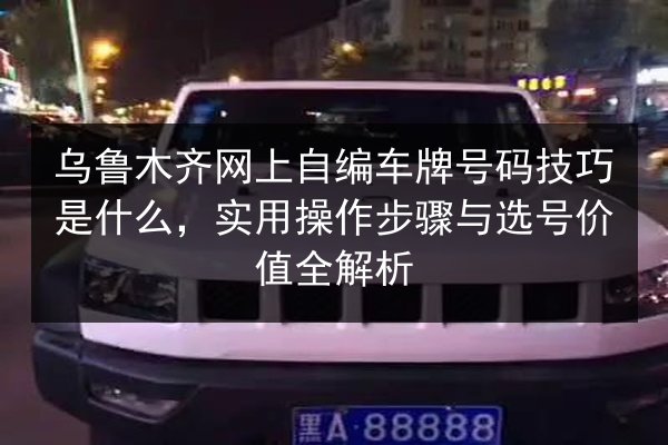 乌鲁木齐网上自编车牌号码技巧是什么,实用操作步骤与选号价值全解析 第2张 乌鲁木齐网上自编车牌号码技巧是什么,实用操作步骤与选号价值全解析 第2张
