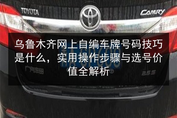 乌鲁木齐网上自编车牌号码技巧是什么,实用操作步骤与选号价值全解析 第3张 乌鲁木齐网上自编车牌号码技巧是什么,实用操作步骤与选号价值全解析 第3张