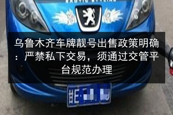 乌鲁木齐车牌靓号出售政策明确：严禁私下交易，须通过交管平台规范办理 第3张